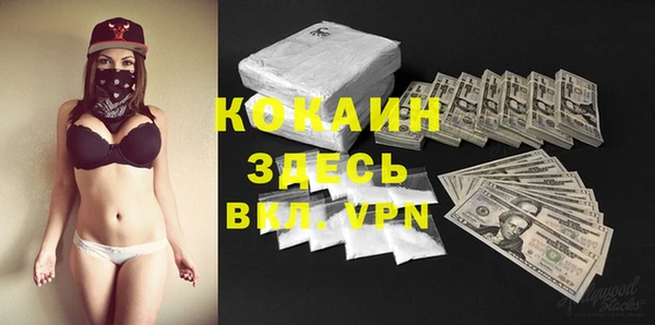 стаф Гусь-Хрустальный