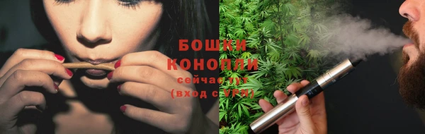 крисы Дмитриев