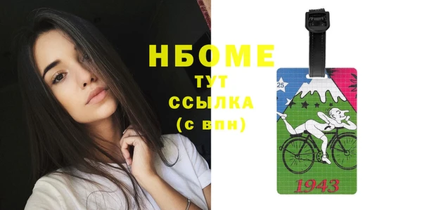 стаф Гусь-Хрустальный