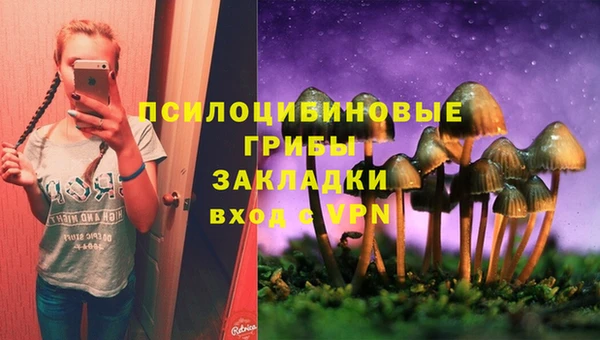 стаф Гусь-Хрустальный