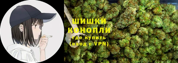 стаф Гусь-Хрустальный
