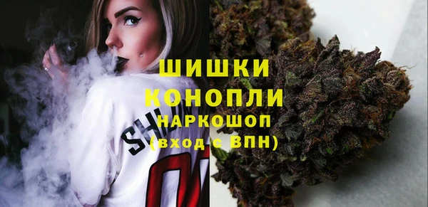 стаф Гусь-Хрустальный