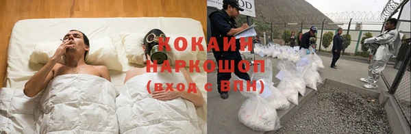 стаф Гусь-Хрустальный