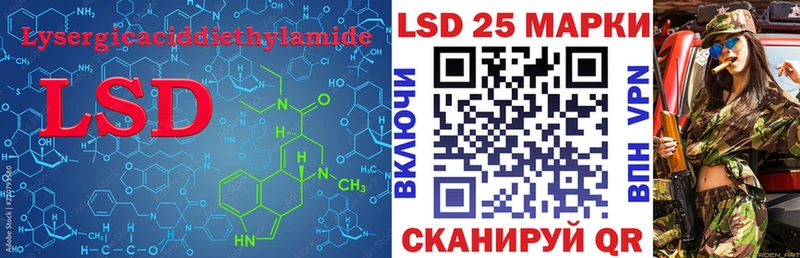 дарнет шоп  Волгореченск  LSD-25 экстази кислота 